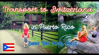 Switzerland of Puerto Rico!? Visit Barrio Toro Negro of Ciales and its River w/ Charco El Moron