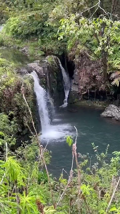 Waterfalls on the Road to Hana on Maui 😍💦💦