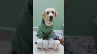 Cleaning your pet with Petvit wipes | Petvit Sanitizing & Grooming wipes | Petvit Paw wipes |