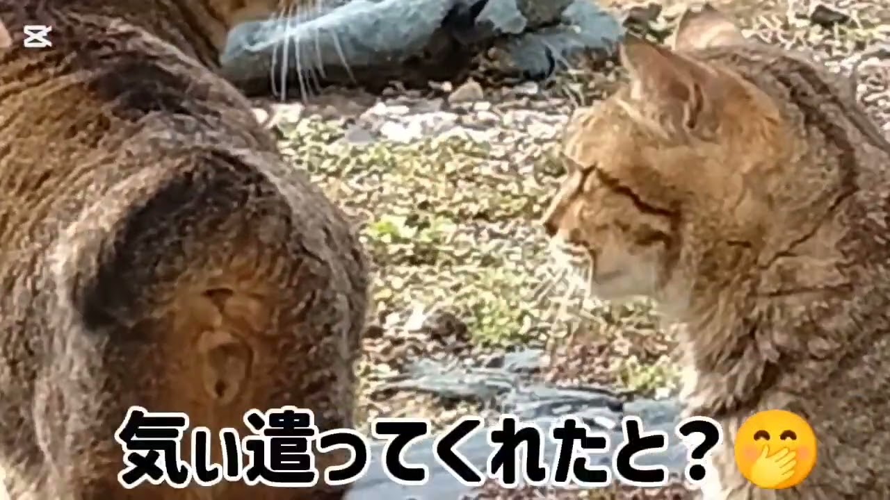 優しい手🤗…🌟2958