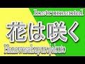video icon