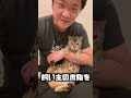 飼い主の皮脂が自分の毛につくのが許せない猫