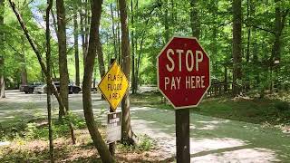 July Flies aka Cicadas Dryer's Pasture WMA #lakeoconee #oconeeriver #camping #campinglife