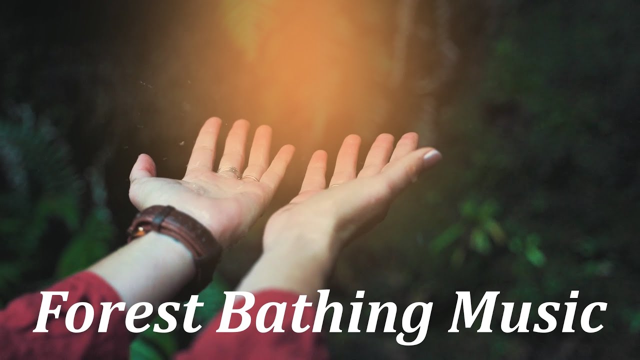 Forest Bathing Music．It has a relaxing effect. - YouTube