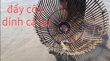 đẩy côn mới vô đã dính cá bự rồi-nghề đẩy côn mùa nước nổi 2019-tập 9