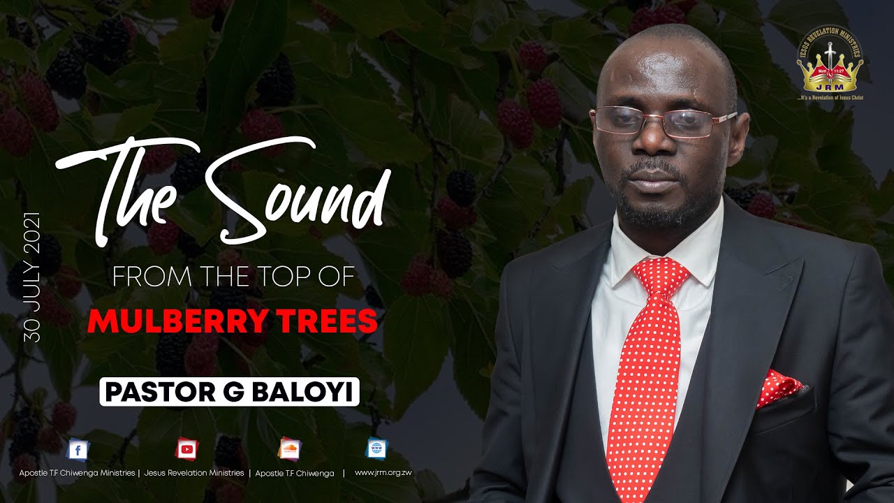 The Sound From The Top Of Mulberry Trees - Revelation Gathering 2 Of 2021 -  Pastor G Baloyi. - Youtube