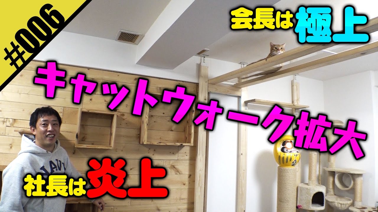 さらば森田diy キャットウォーク拡大 炎上覚悟のdiy Youtube