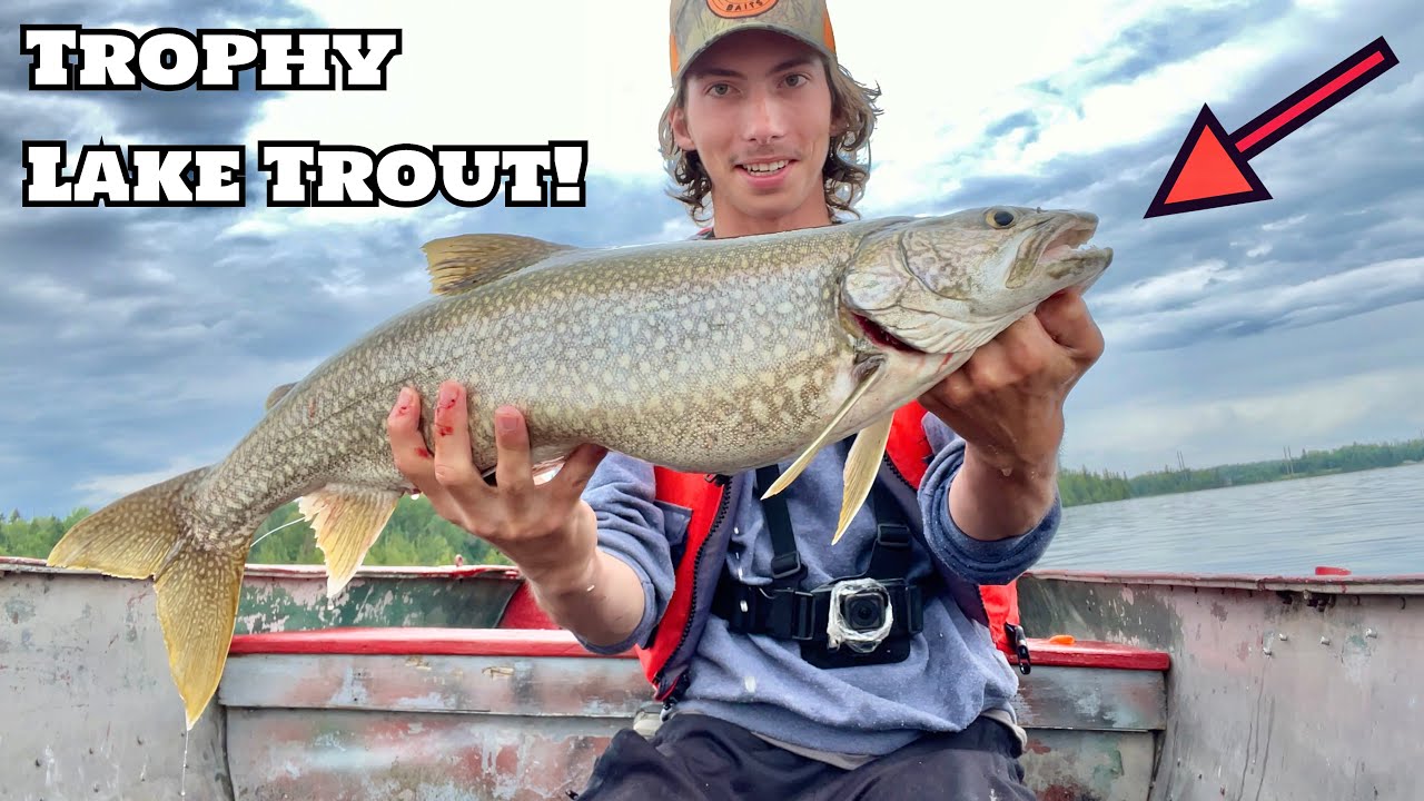 Jigging up GIANT SUNSET COUNTRY LAKE TROUT on BIG Swimbaits!! (New Personal Best!!)