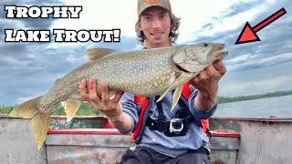 Jigging up GIANT SUNSET COUNTRY LAKE TROUT on BIG Swimbaits!! (New Personal Best!!)