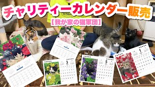 我が家の猫軍団のチャリティーカレンダー＆スケジュール帳を販売します！【寄付します】