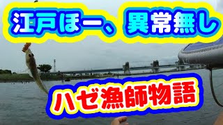 20210626 江戸川放水路　ハゼ釣りダイジェスト