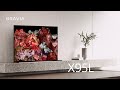 【SONY 索尼】BRAVIA 75型 4K HDR Mini LED Google TV 顯示器 XRM-75X95L product youtube thumbnail