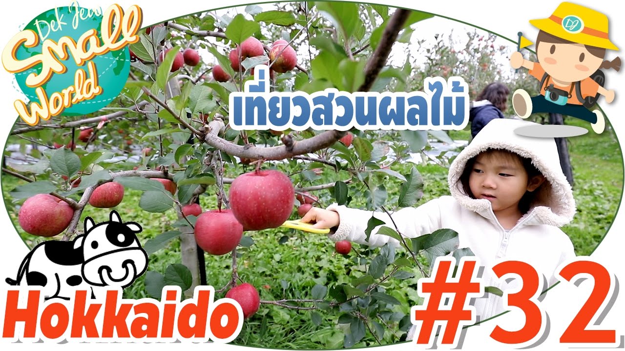 เด็กจิ๋วเที่ยวสวนผลไม้ เก็บแอปเปิ้ลกินไม่อั้น อร่อยที่สุดในโลก (Hokkaido #32)