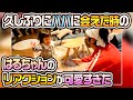 【切り抜き】ヨメサック実家突撃！久しぶりにパパに会えた時のはるちゃんのリアクションが可愛すぎました
