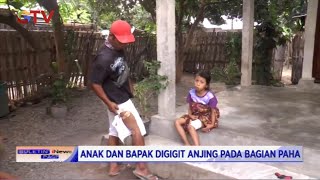 Warga Sumbawa Diteror Penyakit Rabies Akibat Gigitan Anjing Gila #BIP 03/07