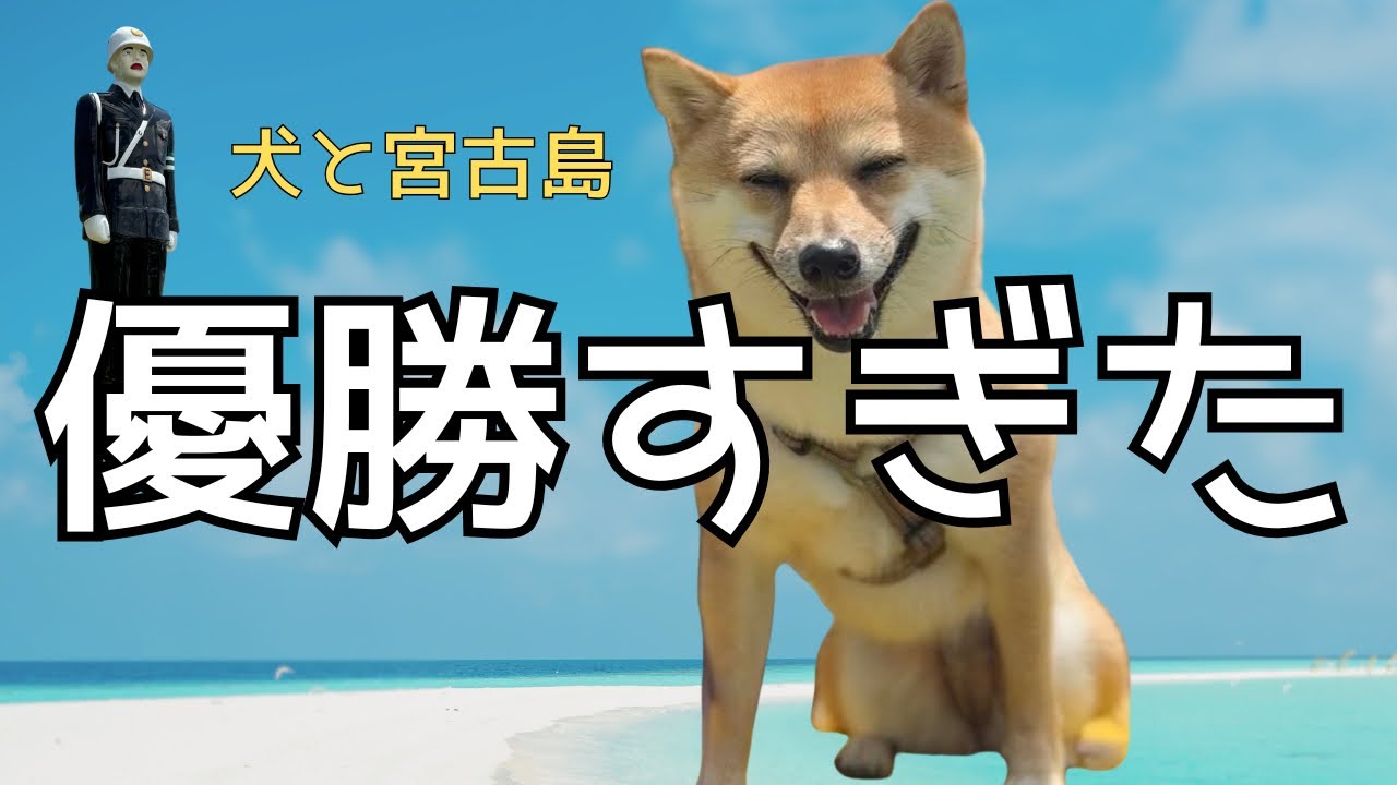 犬と泊まれる宮古島ホテルが優勝すぎた｜ホテルブリーズベイマリーナ