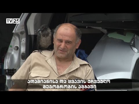 ადამიანისა და ყვავის უჩვეულო მეგობრობის ამბავი