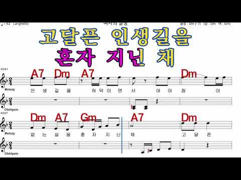 여자의일생  이미자  iSMB 가수처럼 엠알로 노래 악보 남자 키  Dm