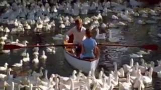 Bi̇r Gün Dönersi̇n Di̇ye - Hülya & Turgay Saki̇ner