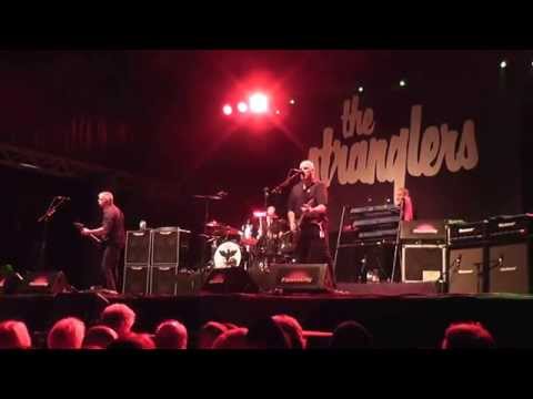 The Stranglers @ Fiesta City 2015