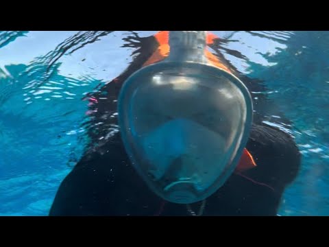 رحلتي لمحمية رأس محمد