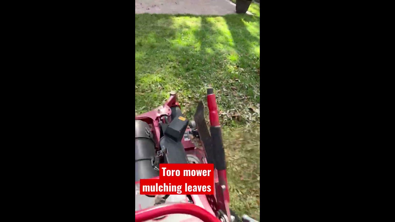 Toro Mower Mulching Leaves Leaf Season 