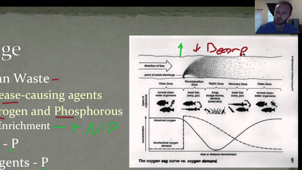 APES CH 21 Water Pollution A YouTube