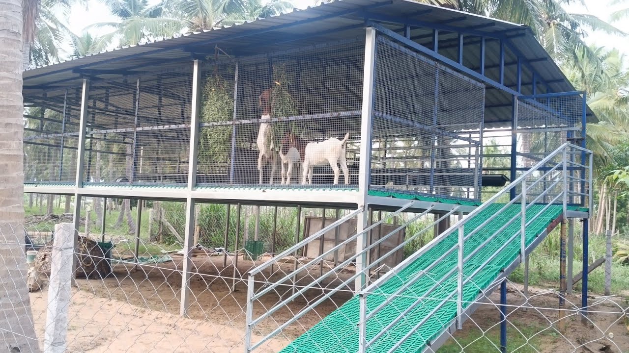 சிறந்த முறையில் ஆட்டுக்கு பரண் அமைத்து தரப்படும்