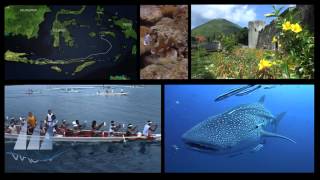 Waow Indonesia - Introducing Our Luxury Diving Aboard