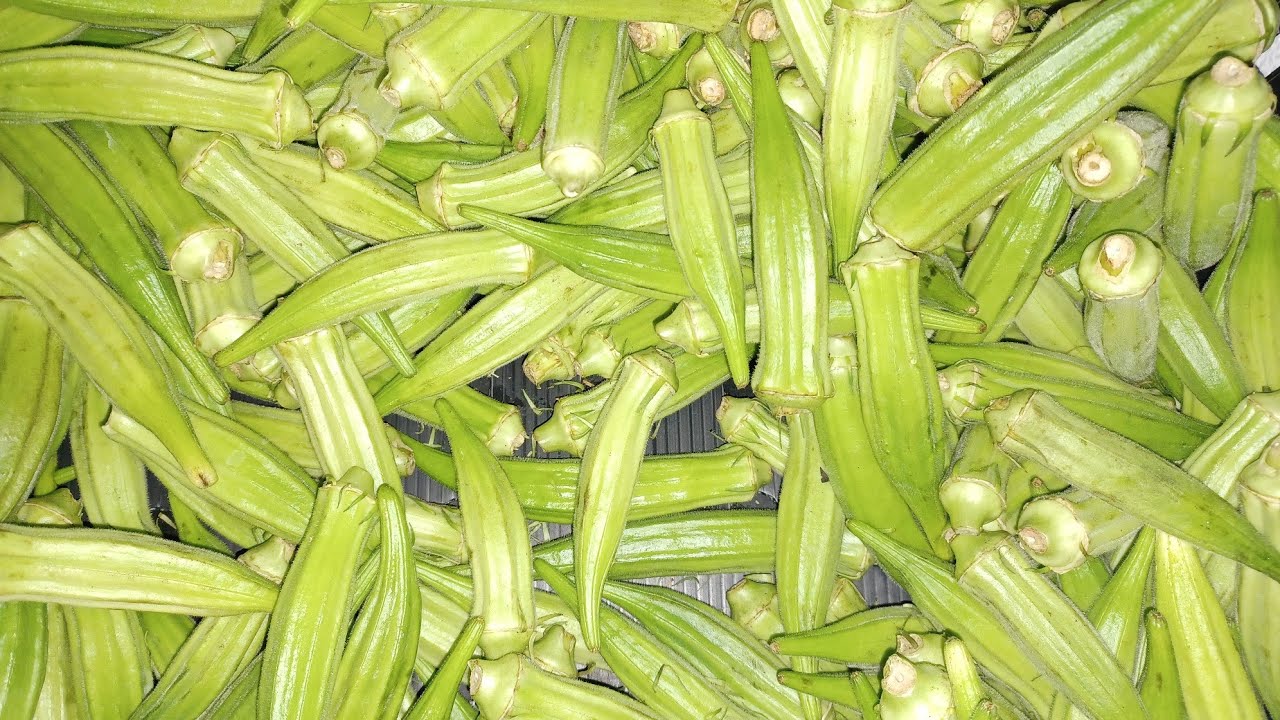 Video 2 Benefits of Bhindi/ Lady Finger/ Okra. YouTube