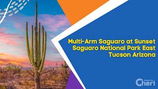 Multi-Arm Saguaro at Sunset - Saguaro National Park East Tucson Arizona Photography Print screenshot 3