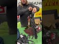 0824-064869 💫 Сумки та рюкзаки американських брендів