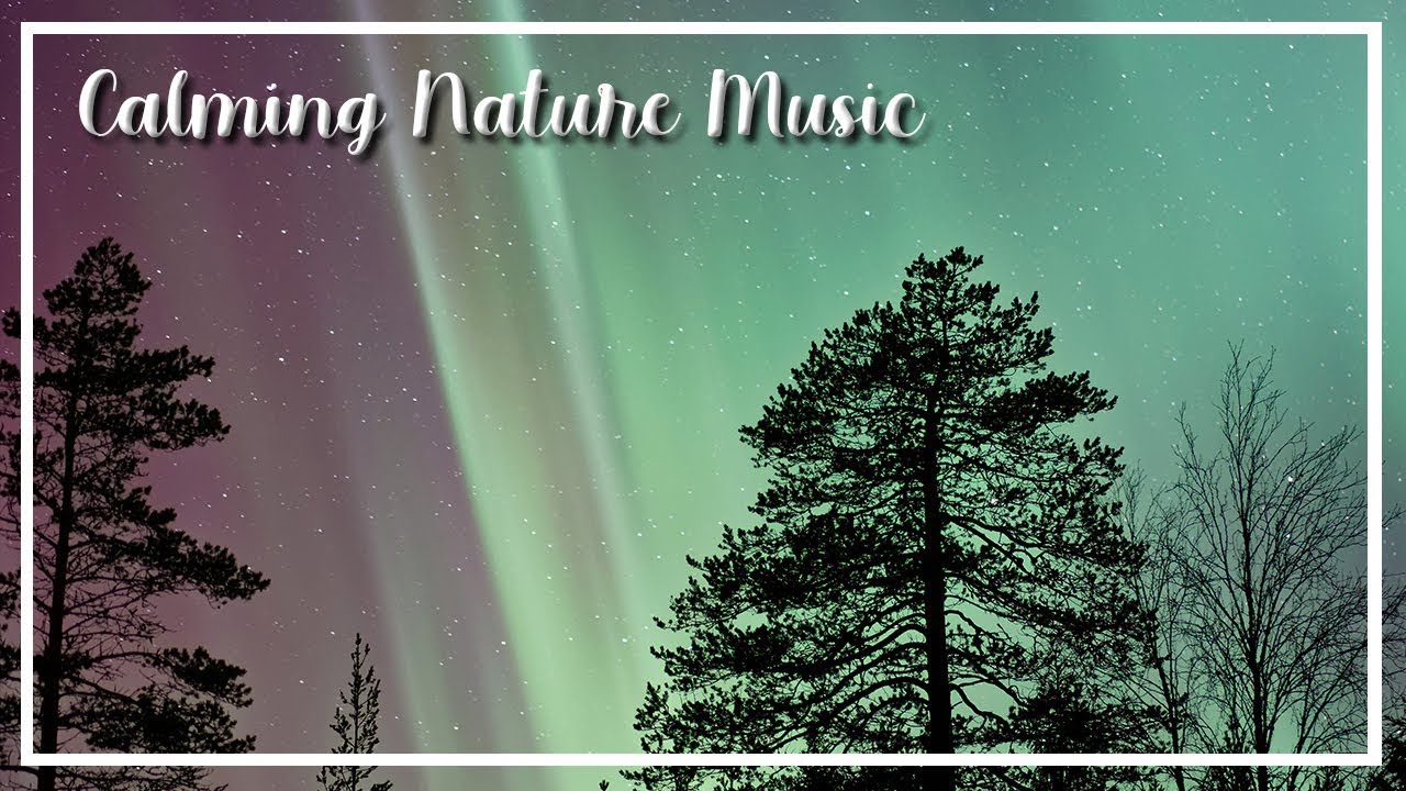 Calming Nature Music for 3 hours - YouTube