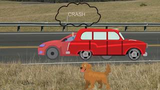 Personal Injury Lawyer Billings Mt - Billings Personal Injury Lawyer - Montana