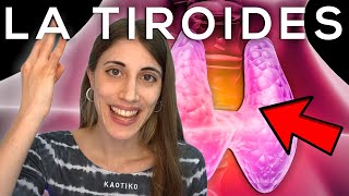 La que puede liar tu TIROIDES: HIPERTIROIDISMO e HIPOTIROIDISMO