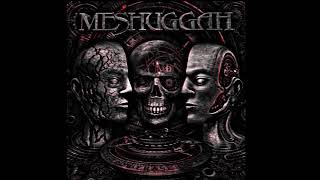 Meshuggah - Future Breed Machine (Slow & Low)