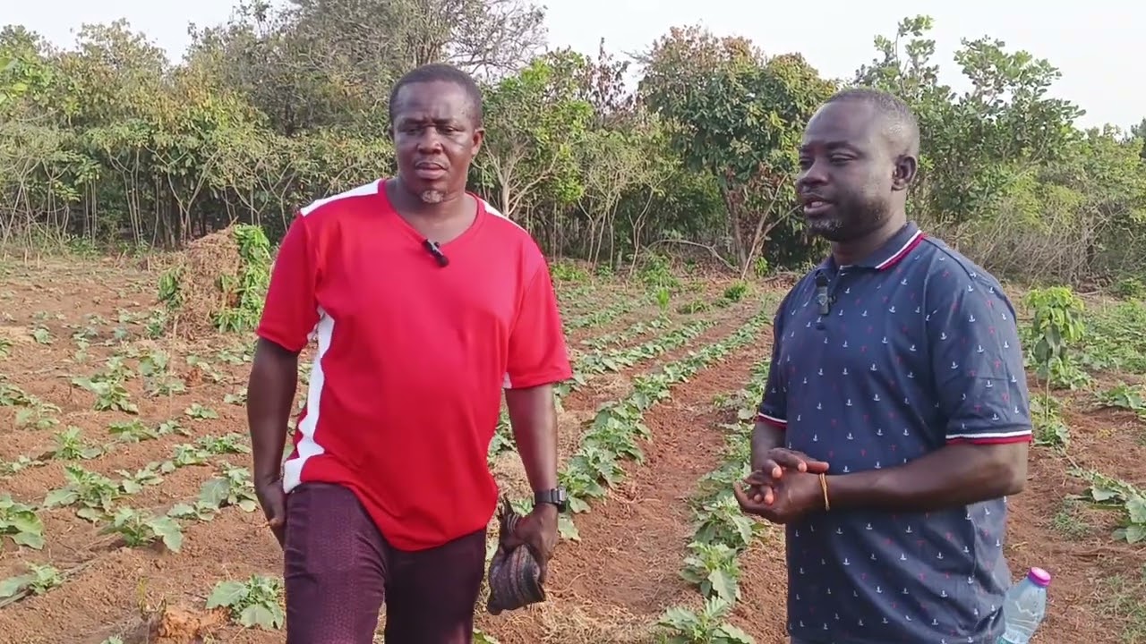 Irrigation Farming Is Paying! Meet the Teacher Cashing In pt5