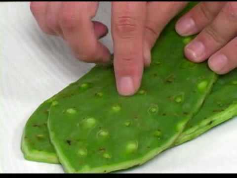 Cooking Tips How To Pick Nopales-11-08-2015