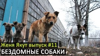 Женя Якут бомж блоггер - выпуск №11 \