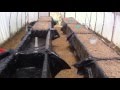 Sustainable farming setting up aquaponic gravel beds