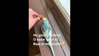 : Ne g"uzel y"ur"utt"un o kadar g"uzel ki bayagi bir etkilendim