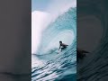 Do wild tigers 🐅 still exist near this surf spot?