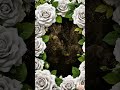 Luxury White Rose Border Ornate Floral Framing Backdrop 4K #weddingstage #ledvisuals