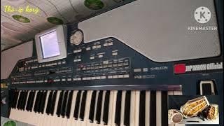 KANGGO SENOK // Tarling terbaru Tri Buana // Backing track tanpa kendang