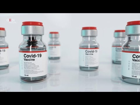 Coronavirus, tutto quello