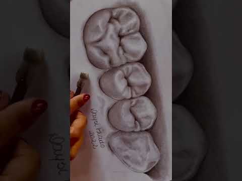 Desenho Dental