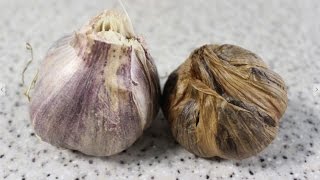 黒にんにくの作り方　炊飯器でかんたん・おいしい！　栄養満点　医食同源オーガニックレシピ☆ビオキッチン☆ヨーロッパ Black garlic, Ail noir a la maison♡