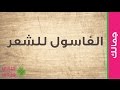 الغاسول للشعر كمنظف وفوائد الغاسول المغربي للشعر الجاف