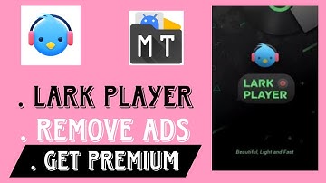 How to mod Lark Player | Mt Manager