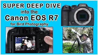 Let's Setup the EOS R7 for Bird Photography: A Deep Dive into the Stock Setting and Modifications